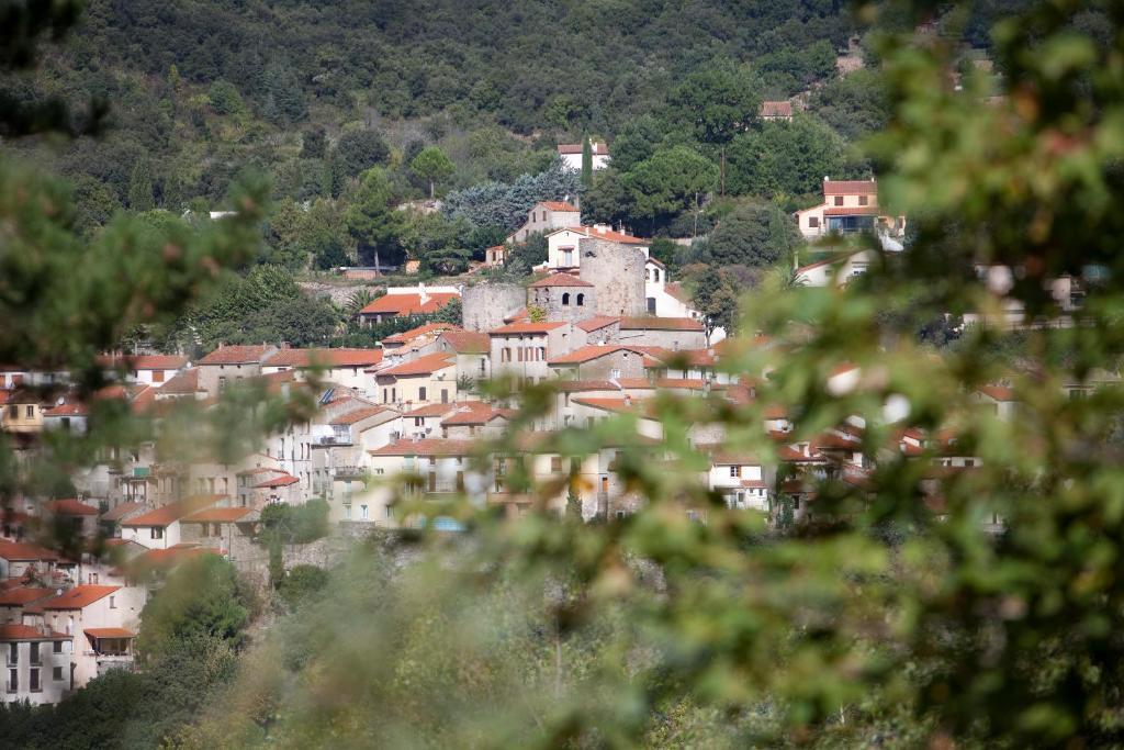 La Pinede Hotell Amélie-les-Bains-Palalda Rum bild